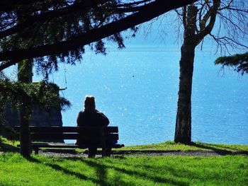 Rear view of woman sitting on bench by tree trunk looking at lake
