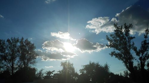 Low angle view of trees against sky