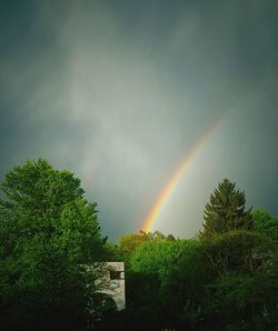 Rainbow over trees against sky