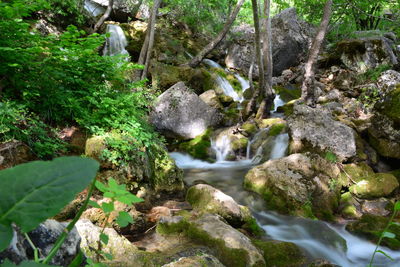 Stream flowing through rocks in forest