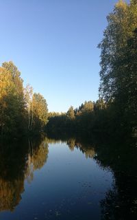 Scenic view of lake in forest against clear sky