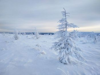Snow covered land against sky