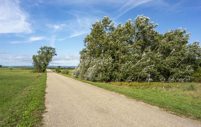 Road by trees on field against sky