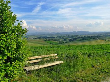 Scenic view of field against sky