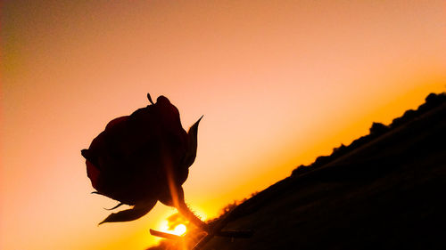 Silhouette flower against orange sky