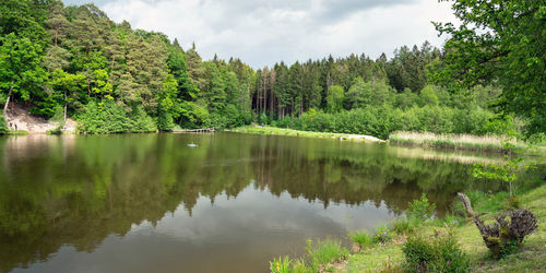 Scenic view of lake in forest against sky