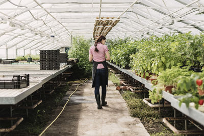 Rear view of female gardener walking at walkway in greenhouse