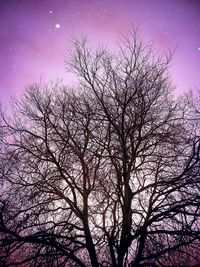 Low angle view of bare trees against blue sky