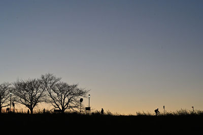 Silhouette bare trees on field against clear sky during sunset