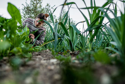 Low angle view of women on plant in field