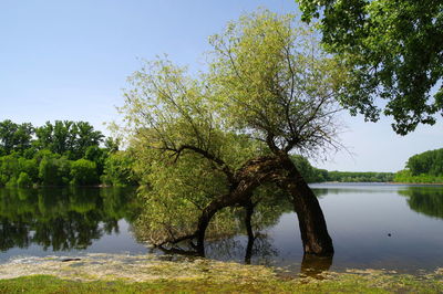 Scenic view of lake against clear sky