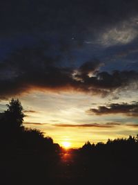 Silhouette of trees at sunset