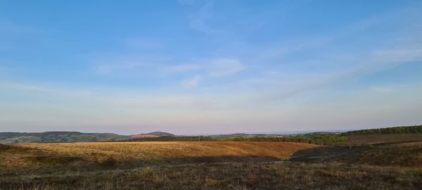 Scenic view of field against sky