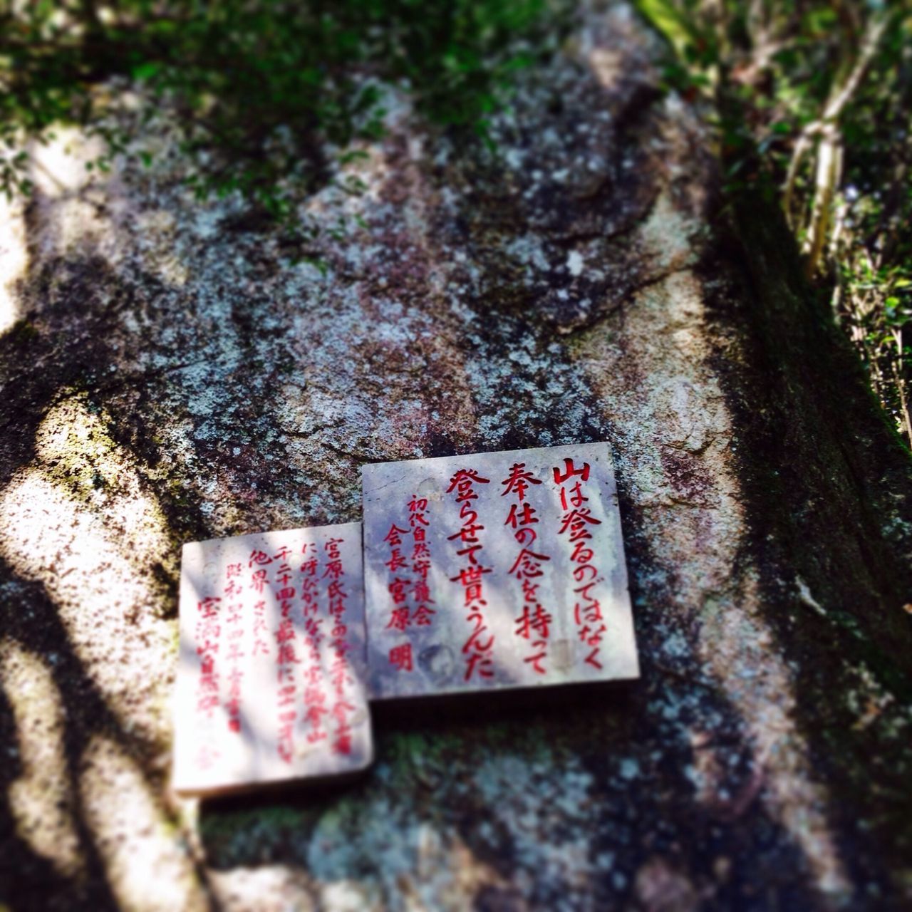 text, western script, communication, close-up, red, no people, capital letter, day, selective focus, sign, focus on foreground, heart shape, outdoors, non-western script, information sign, love, guidance, message, tree, information