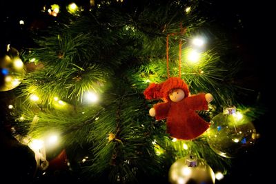 Low angle view of christmas tree at night