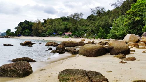 Scenic view of trees and rocks against sky