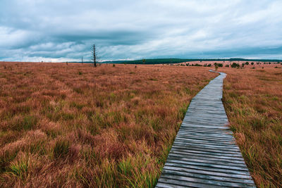 Landscape in the high fens nature park in the eifel, belgium.