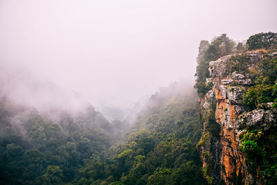 Scenic view of forest against sky during foggy weather