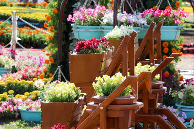 Potted plants in greenhouse