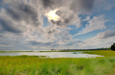 Scenic view of field against sky