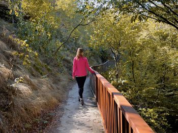 Rear view of man walking on footpath amidst trees