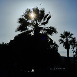 Low angle view of silhouette palm trees against sky