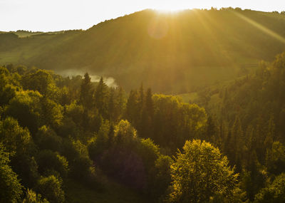 Bright rolling countryside around a farm in the morning light. picturesque day and gorgeous scene. 