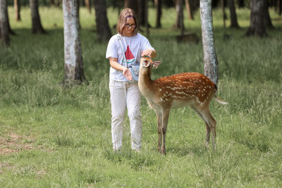 A girl feeding cute spotted deer bambi at petting zoo.
