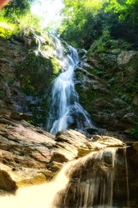 View of waterfall in forest