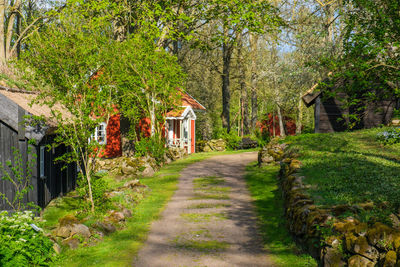 Footpath amidst plants and trees and building