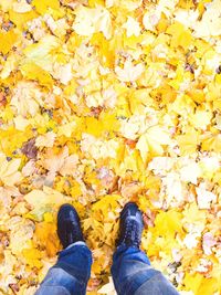 Low section of man on dry maple leaves during autumn