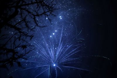 Low angle view of fireworks against sky at night