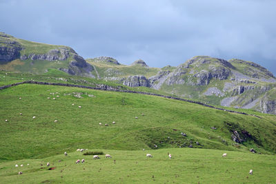 Scenic view of field and mountains against sky