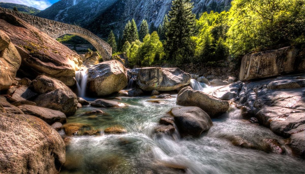 SCENIC VIEW OF RIVER FLOWING THROUGH ROCKS IN FOREST