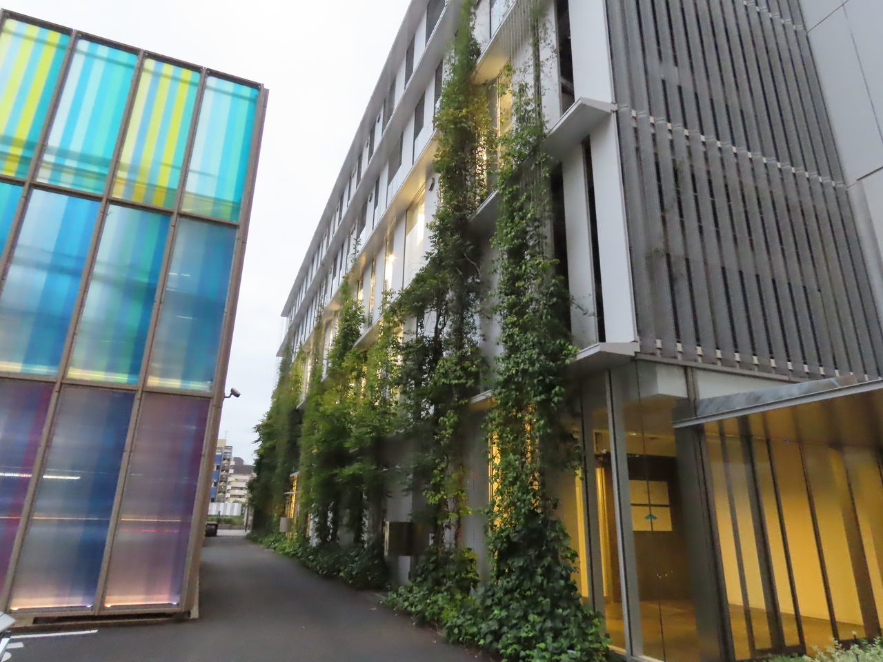 LOW ANGLE VIEW OF MODERN GLASS BUILDING