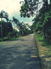 Road amidst trees against sky