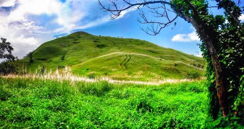 Scenic view of grassy field against cloudy sky