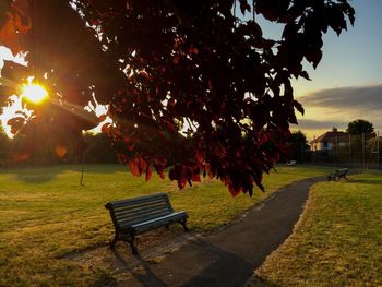 Empty bench in park