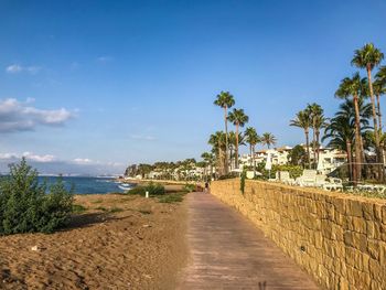 Footpath by palm trees on beach against sky