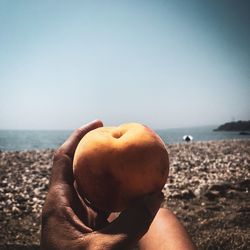 Close-up of hand holding apple against sea and sky