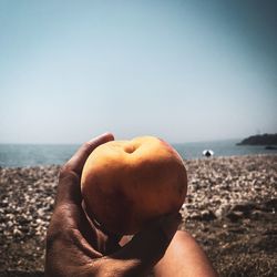 Close-up of hand holding apple against sea and sky