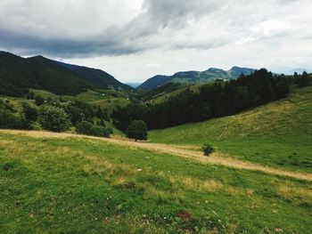 Scenic view of field against sky