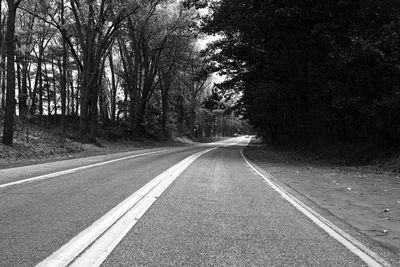 Empty road amidst trees in forest