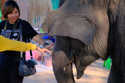 Full length of woman standing on elephant