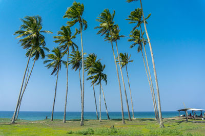 Scenic view of sea against clear sky