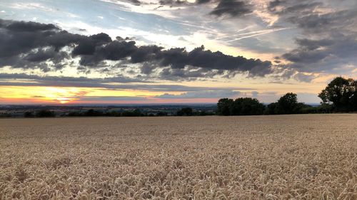 Scenic view of field against sky during sunset