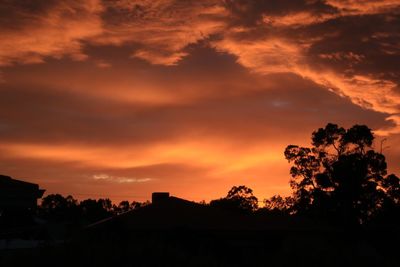 Silhouette trees and houses against sky at sunset