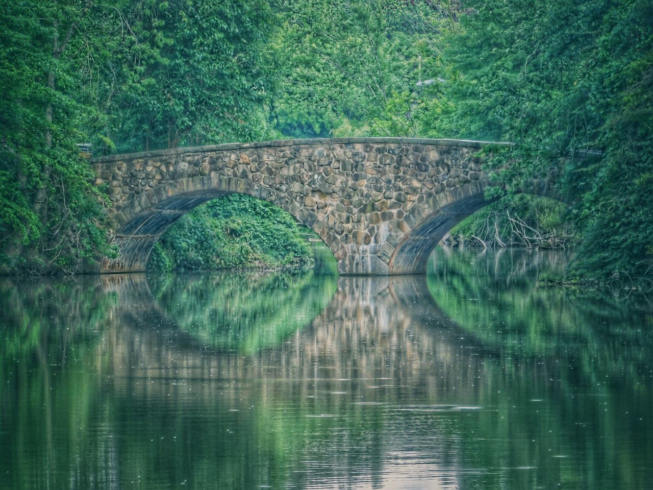 Clove Lakes Park