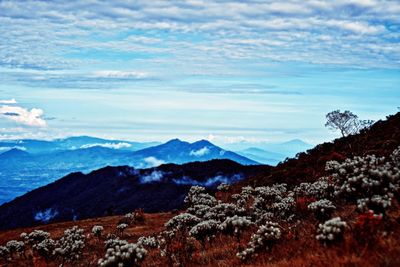 Scenic view of sea and mountains against sky