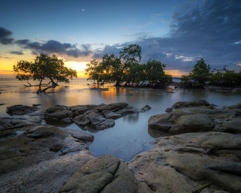 Rocks by trees against sky during sunset